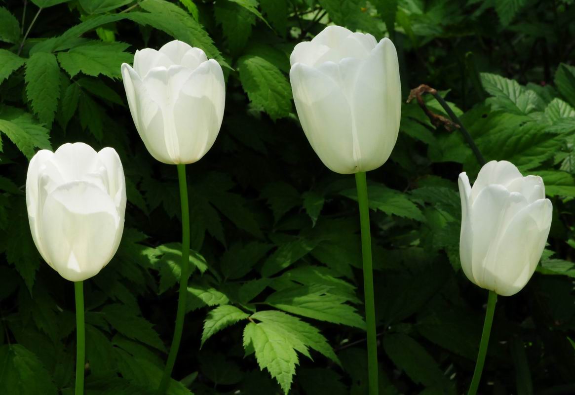 2012_05_23__06030.jpg