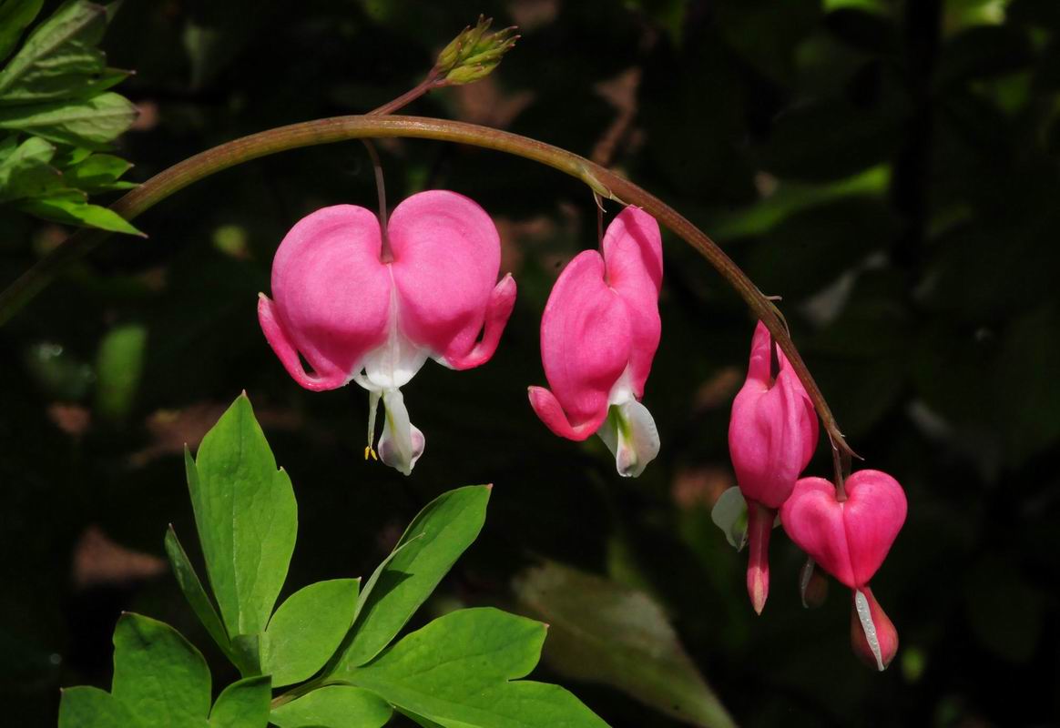 2012_05_23__06056~0.jpg