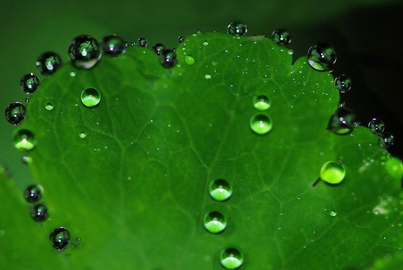 2012_09_01_03136.jpg
