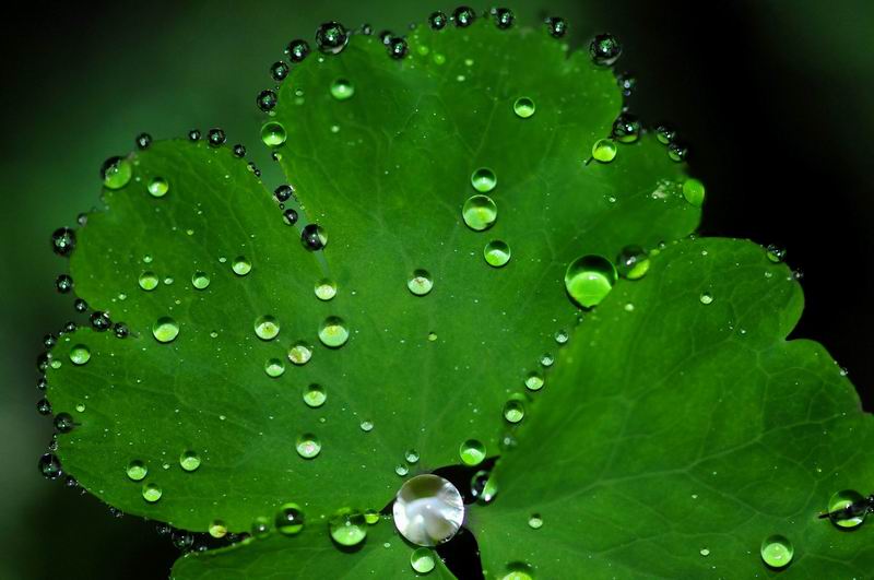 2012_09_01_03139.jpg