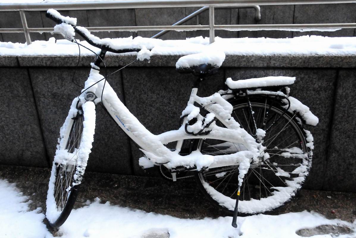2013_02_07_02572.jpg