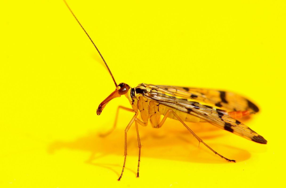 2013_08_26_00676.jpg