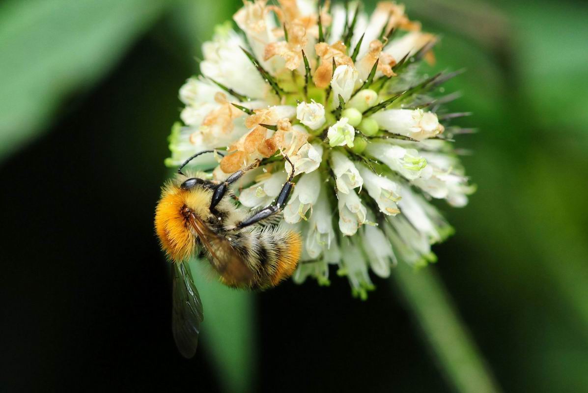 2013_08_26_00700.jpg