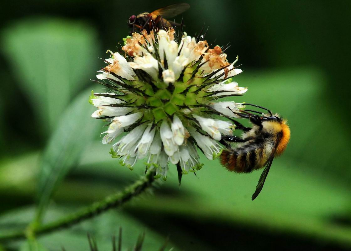 2013_08_26_00703.jpg