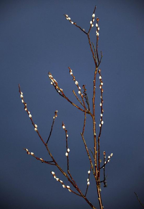 2014_01_03_00575.jpg