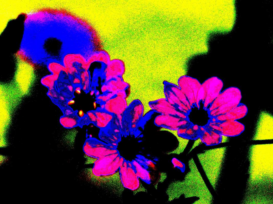 2014_06_09_1030382.jpg