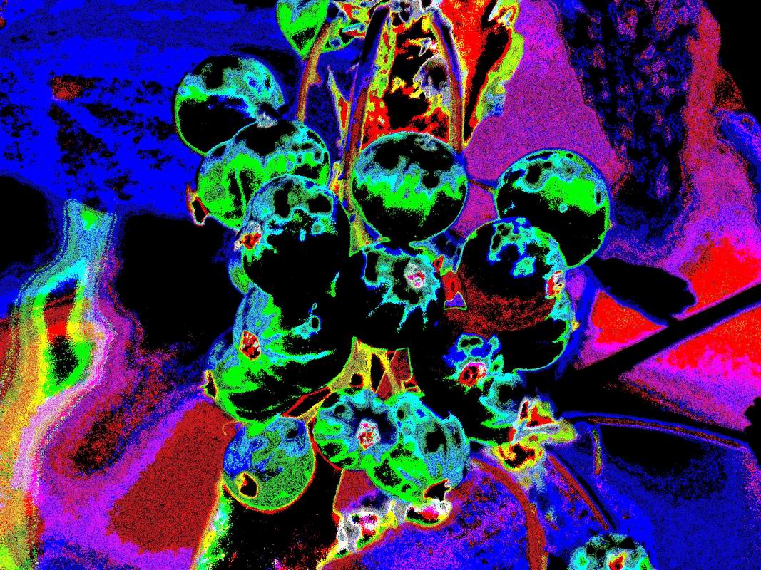 2014_06_21_1050151.jpg