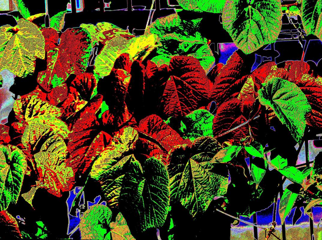 2014_06_22_1050298.jpg
