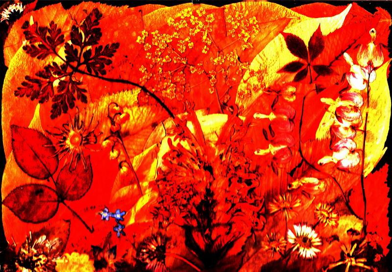 2015_03_20_00029.jpg