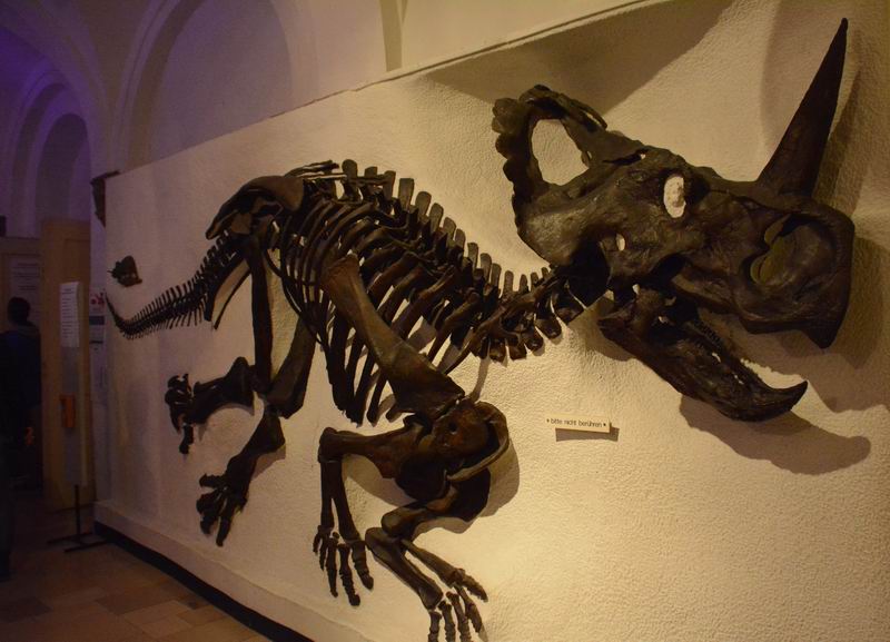 2016_10_15_002933.jpg