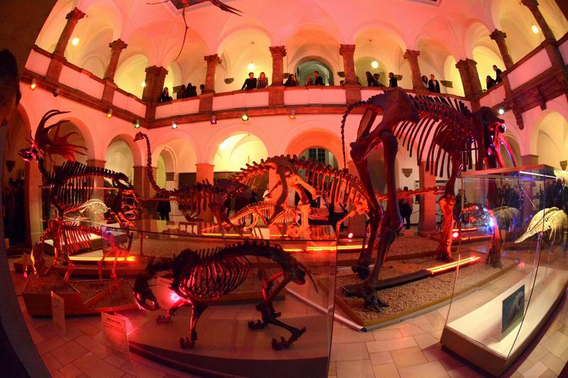 2016_10_15_003035.jpg