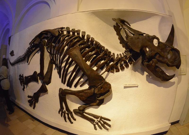 2016_10_15_003698.jpg