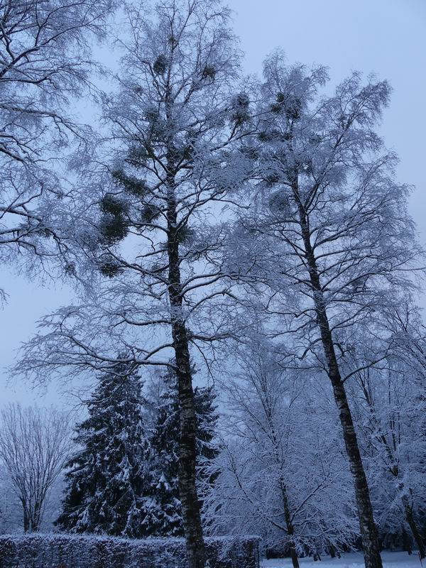 2018_02_18_1040770.jpg