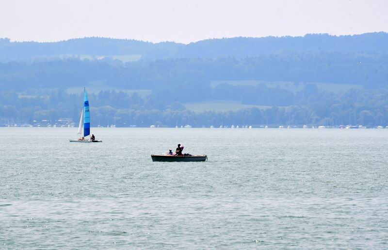 2018_08_02__4482.jpg