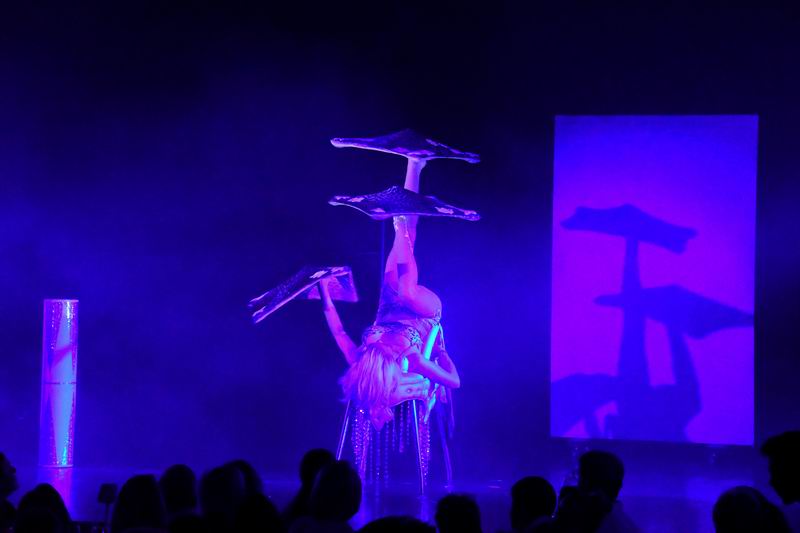 2018_10_31__0912.jpg