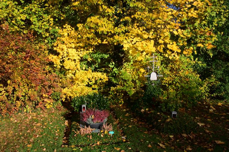 2018_11_01__2414~0.jpg