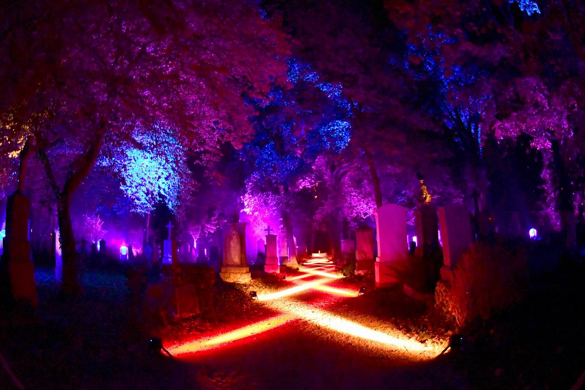 2019_10_19_5552~0.jpg