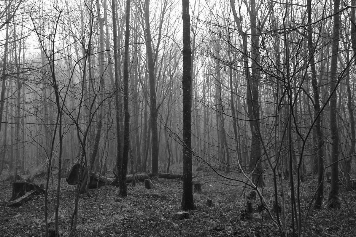 2020_02_24_5404.jpg