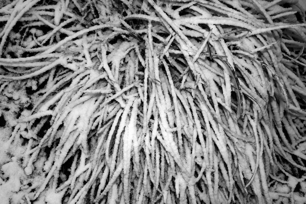 2020_02_26_0045.jpg