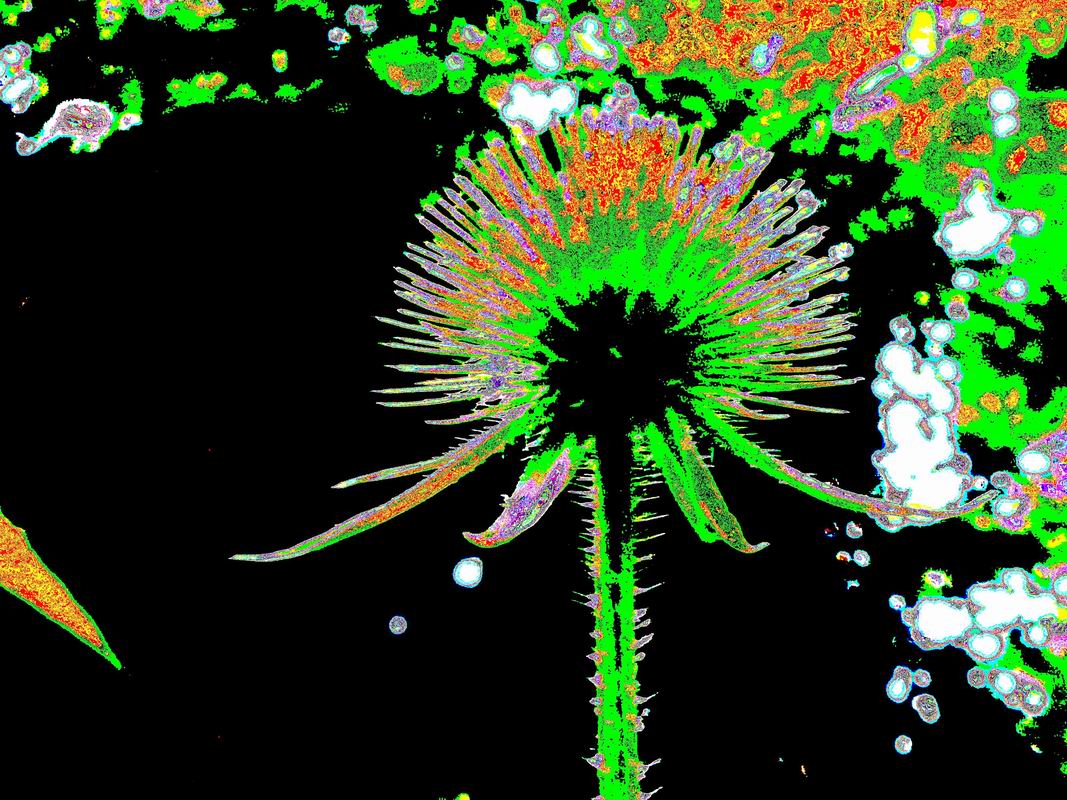2020_07_060060.jpg