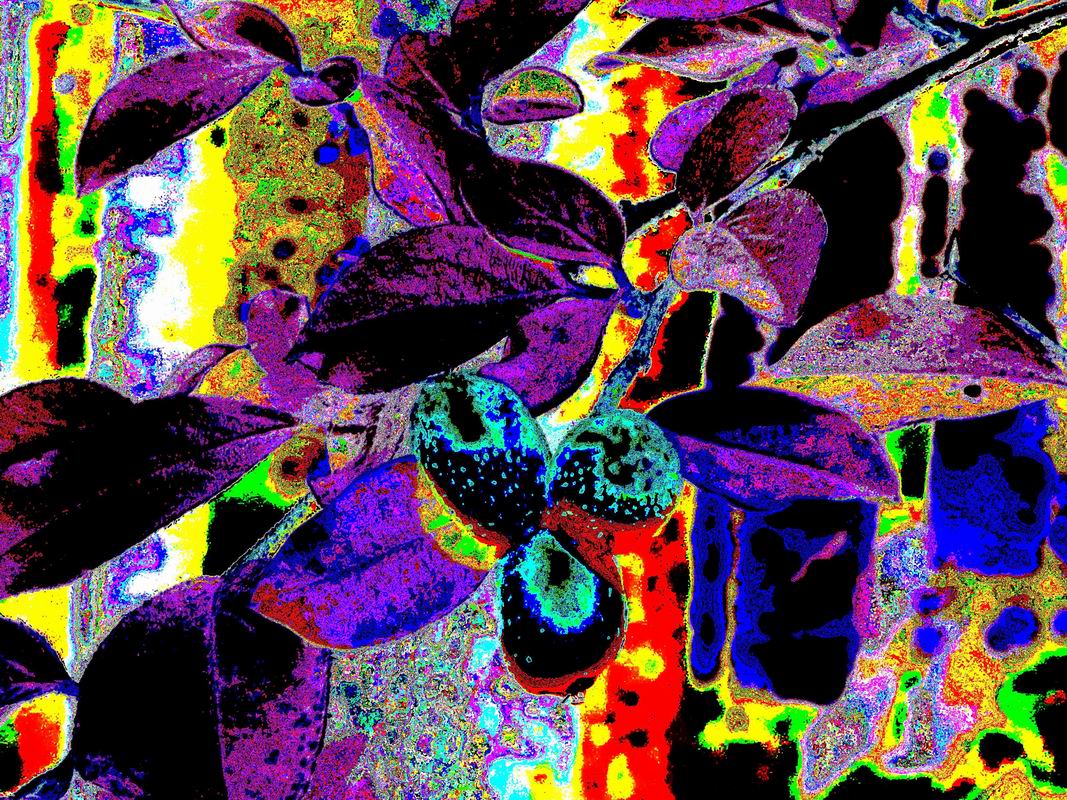 2020_09_22_0099.jpg