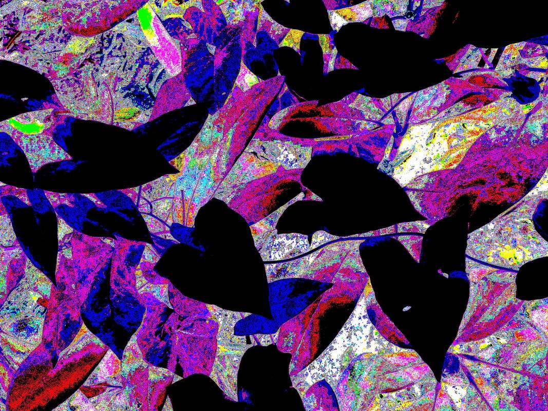 2020_09_22_0145.jpg