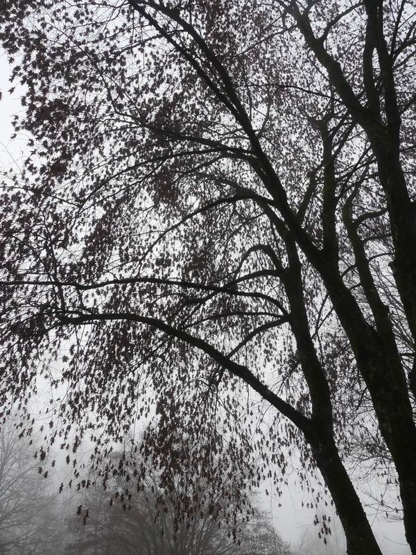 2020_12_16_0019.jpg