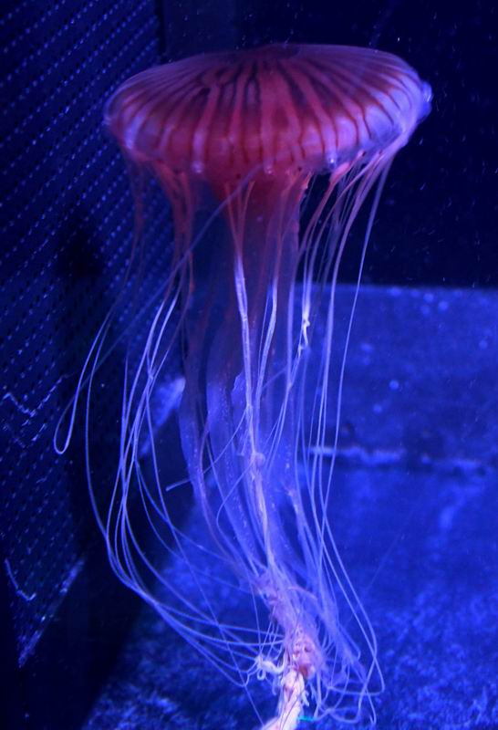 2022_01_20_7757~0.jpg