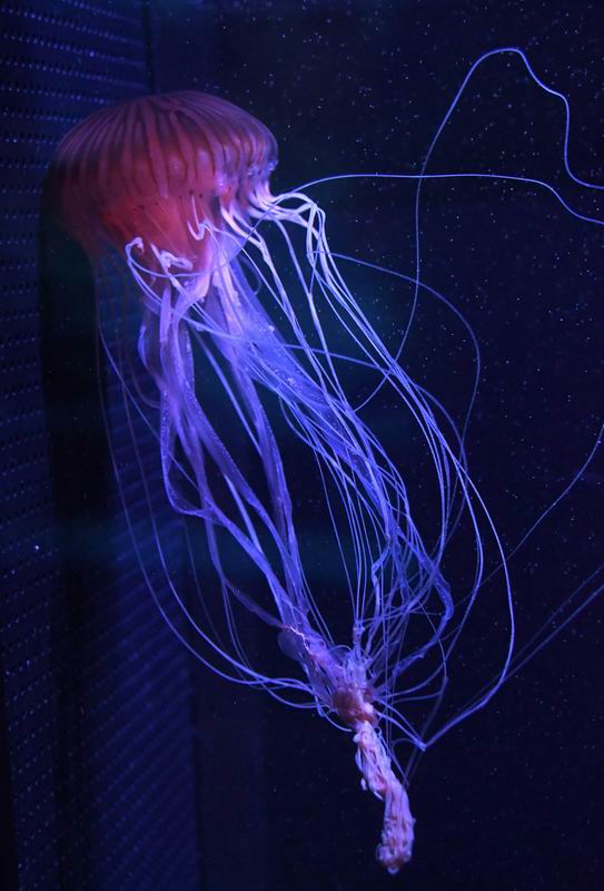 2022_01_20_7767~0.jpg