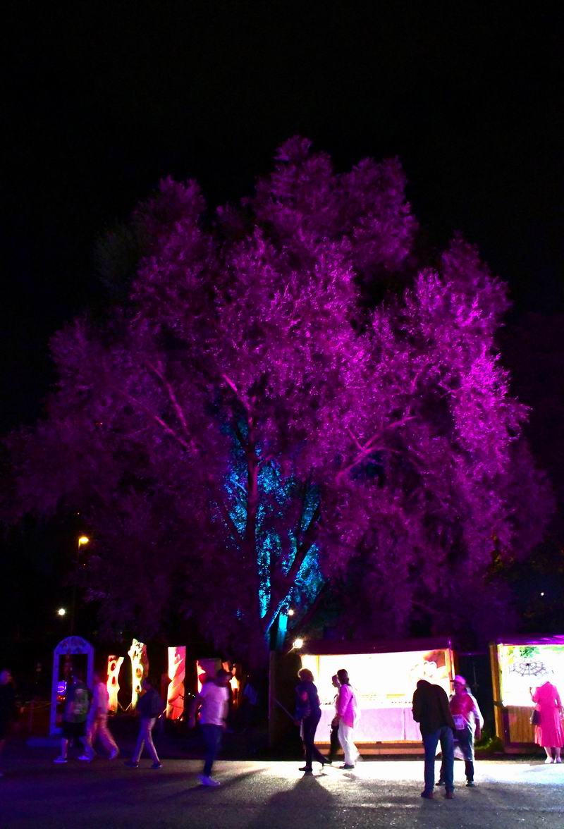 2024_07_16__006297.jpg