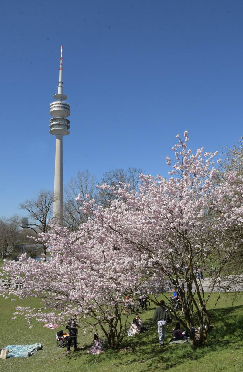 2025_04_04_010161.jpg