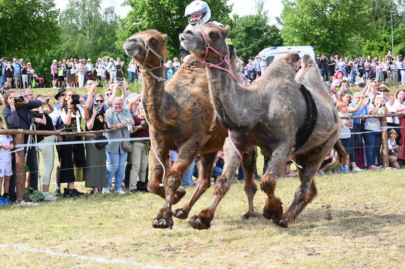 2026_06_04_00010519.jpg
