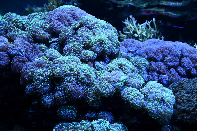 2026_06_25_00001421~0.jpg