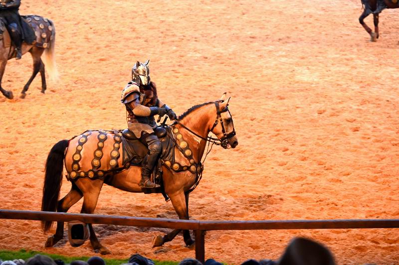 2026_07_11_00013406~0.jpg