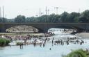 2013_07_28_04484.jpg