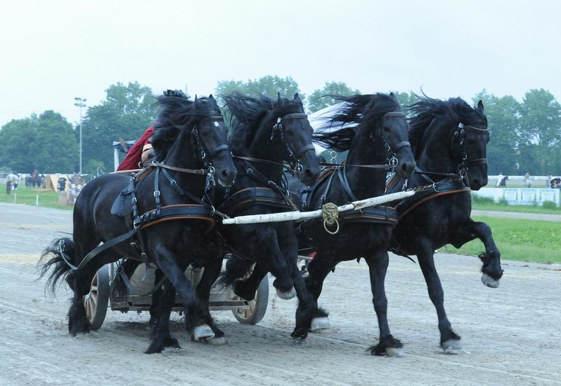 2010_06_20_02330.jpg