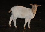 2011_02_18_05291.jpg