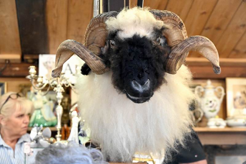 2026_04_25_00001631.jpg