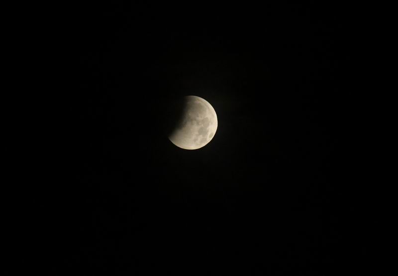 DSC_4667.JPG