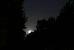 DSC_3262.JPG