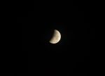 DSC_4680.JPG