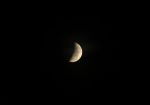 DSC_4696.JPG