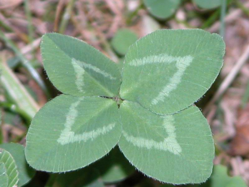 2003_07_22_00730000.jpg