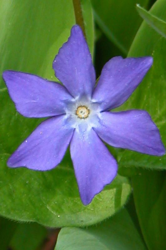 2004_05_12__01280.jpg