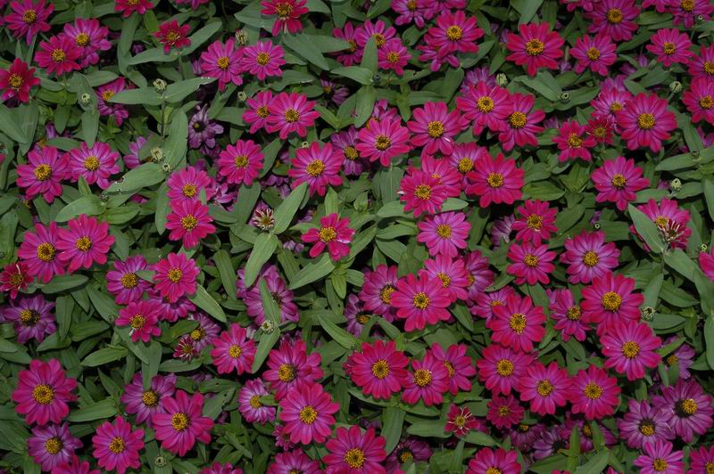 2005_07_31__1199.jpg