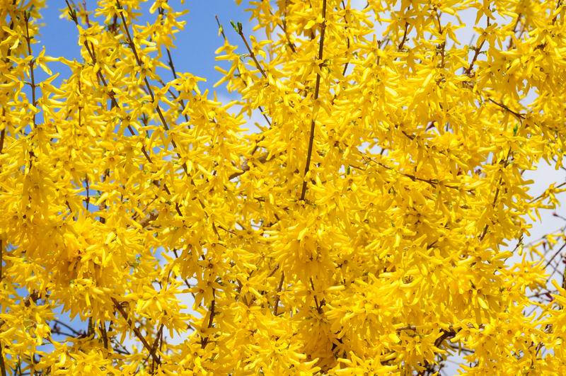 2011_04_08__0005.jpg