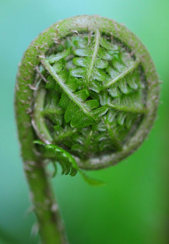 2011_05_14__3899.jpg