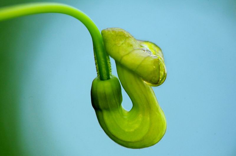 2011_05_14__3920.jpg
