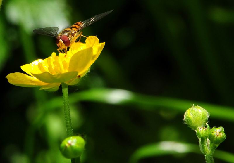 2011_05_14__3952.jpg
