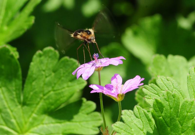2011_05_14__3972.jpg
